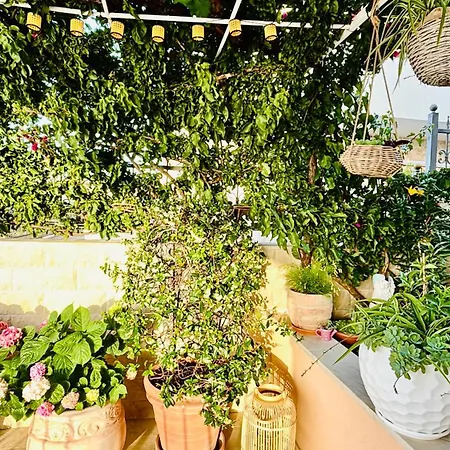 Sunny Elza 2 Apartment