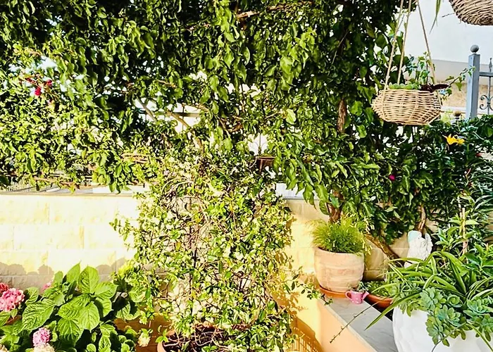 Sunny Elza 2 Apartment